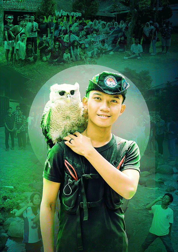 Green Owl Merapi Artboard