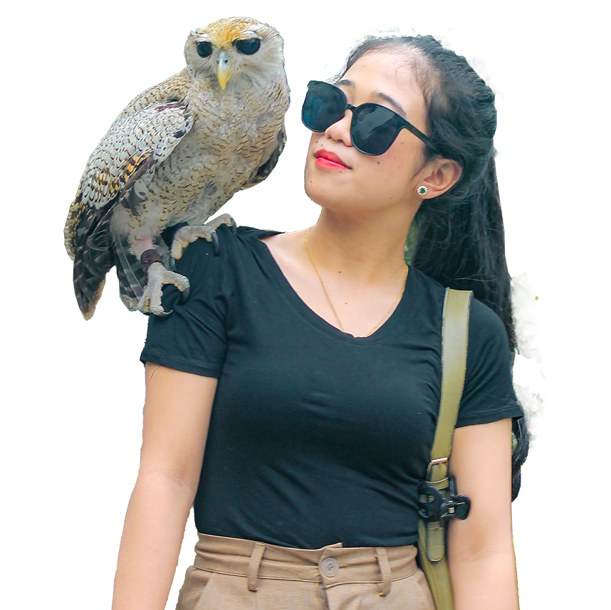 Outstanding Pictures