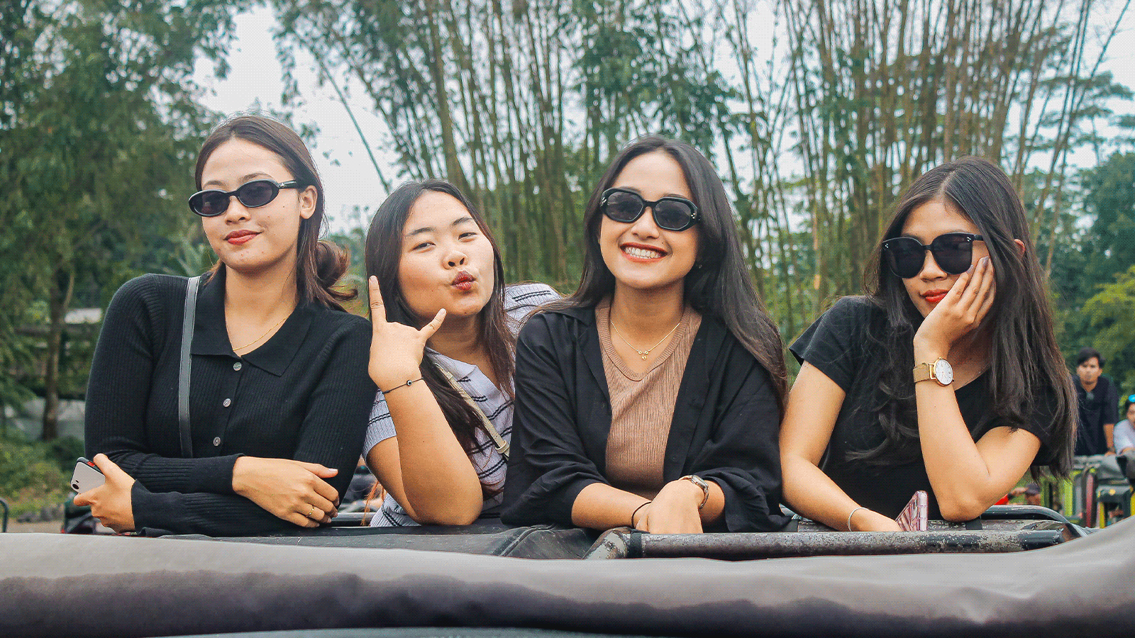 dimdimstyle Gallery 006