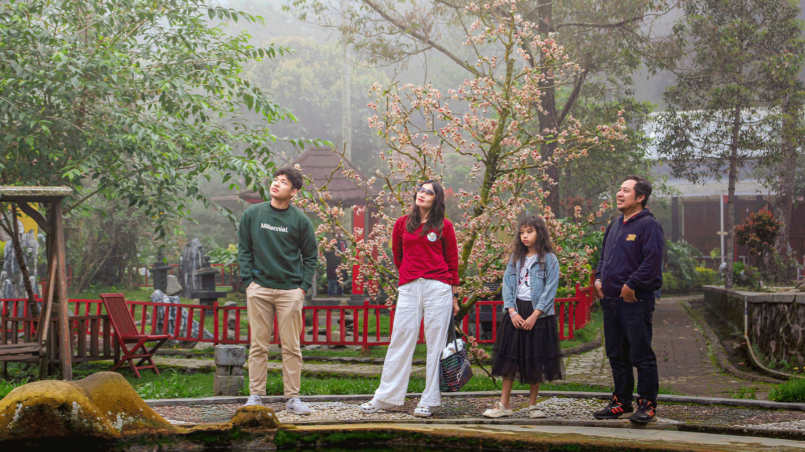 dimdimstyle Gallery 084