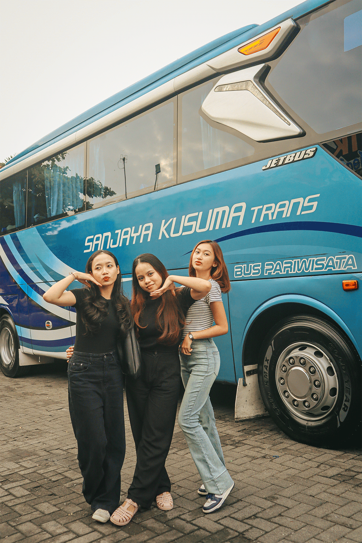 dimdimstyle Gallery 108