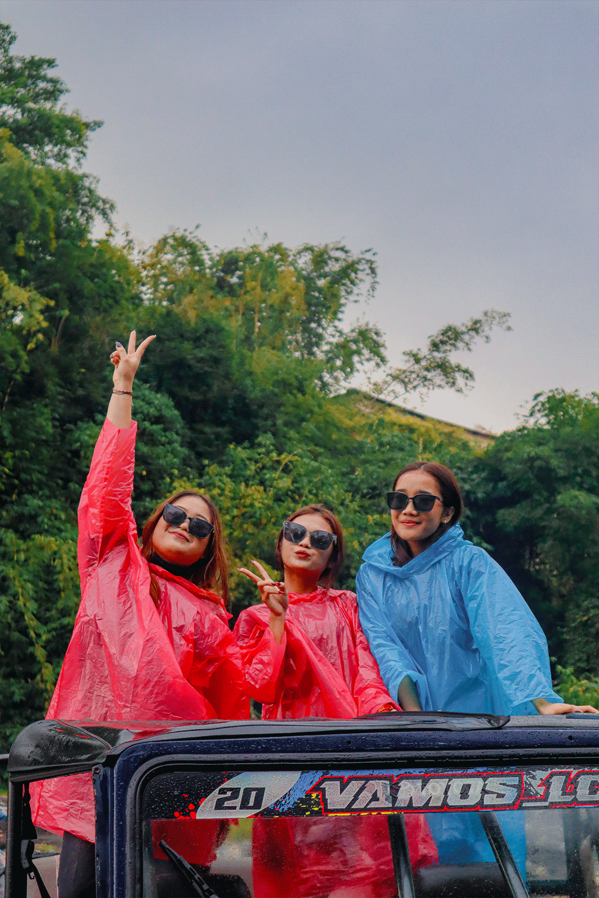 dimdimstyle Gallery 137